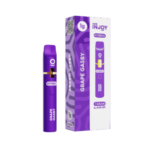 injoy disposable grape gasby 1g – aio (hybrid)